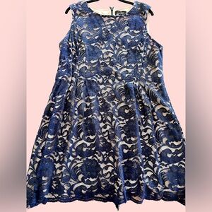 Elegant Navy Blue Lace Overlay A-Line Dress, Suzanne Betro, Plus Size 2X